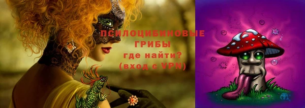 спиды Алексин