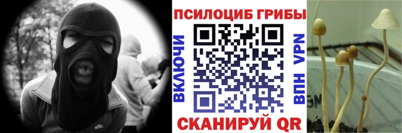 Псилоцибиновые грибы Psilocybine cubensis Йошкар-Ола