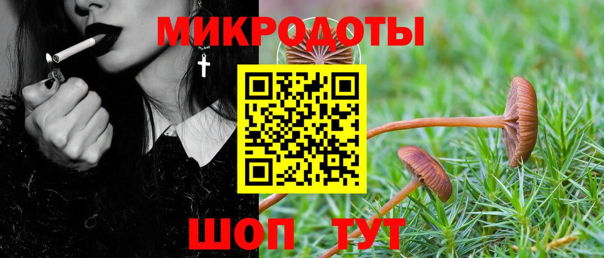 Псилоцибиновые грибы MAGIC MUSHROOMS  Вход с VPN  Галлюциногенные грибы мухоморы  Йошкар-Ола 
